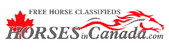 Horses in Canada a free classified site for horse owners